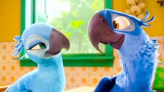 RIO 2 Clips - Part Two (2014) Jesse Eisenberg