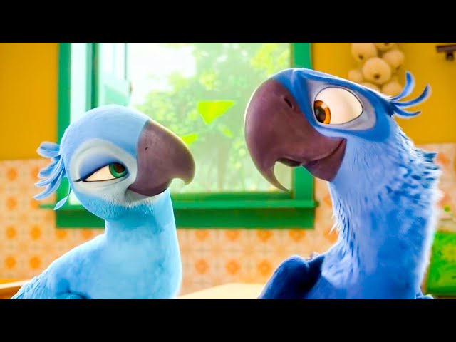 ADORO ESSA PARTE DO FILME #RIO2 #claraacapivara #cigano_rodrigues #cig