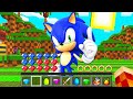 HO INCONTRATO IL VERO SONIC SU MINECRAFT ITA!!