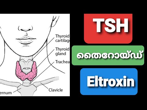 TSH രക്തപരിശോധന എന്താണ് ,തൈറോയ്ഡ് ചികിത്സ ,Eltroxin കൊടുക്കേണ്ടന്ത് എപ്പോയൊക്കെയാണ് ?