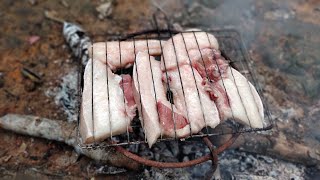 🔴1Kg Daging babi di panggang, enak dagingnya tidak ada tersisa | Kehidupan Suku Dayak Kalimantan