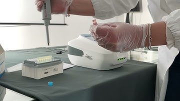 Veterinary Coagulation Analyzer - coagulometro