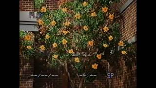 1-2-3-4 Seasons Canada Version Part 19