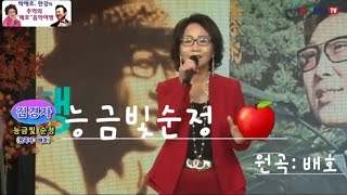 # 능금빛순정 🍎..                # 원곡; 배호 ..                      # 커버: 김경자