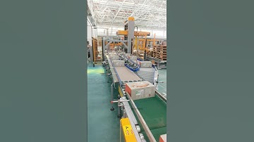 Carton separation, robot alignment, gantry low-level palletizer #palletizing #palletizer #machine