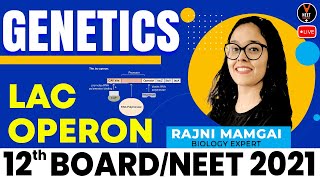 Genetics Class 12 2 | Lac Operon | Biology Class 12 Board Exam 2021 | Rajni Ma'am