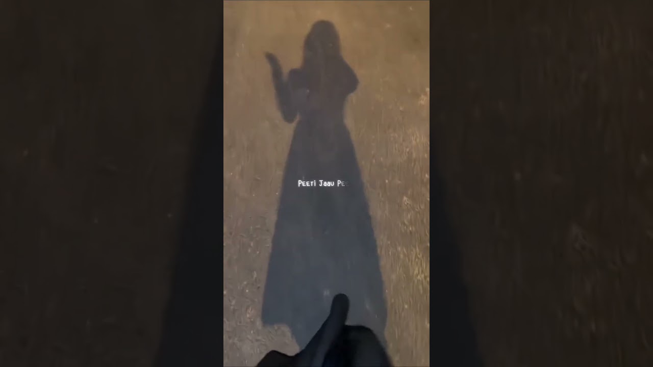 Drunk N High | Mellow D, Aastha Gill | Adah Sharma | Akull || LOFI JUKEBOX