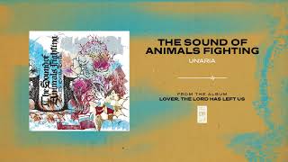 The Sound Of Animals Fighting &quot;Un&#39;aria&quot;
