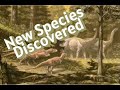 New Species Discovered On European Island!!!