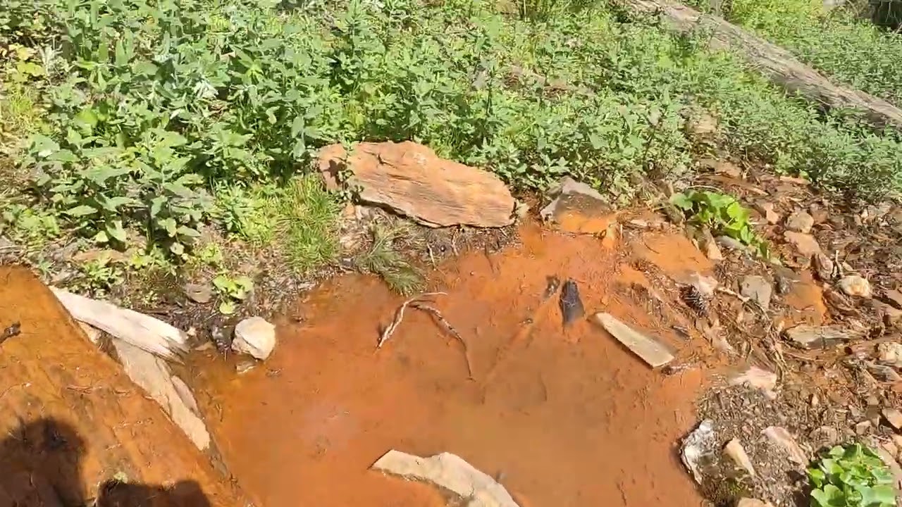 Natural iron rich water💧 