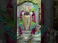 jay Dwarkadhis