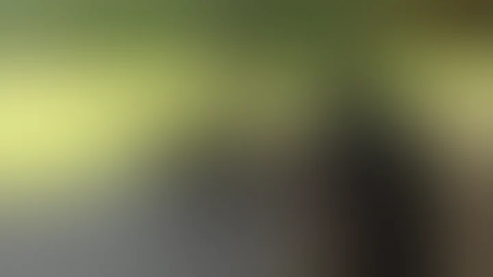 DSA RPD carbine 100rds