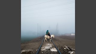 Meanwhile The Survivors Are Shamefully Arriving King Of Rome