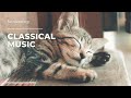 Classical Music for Sleeping: Relaxing Piano Music