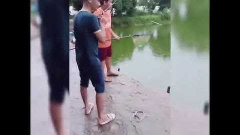 Cá tra 5kg hồ liên minh củ chi .