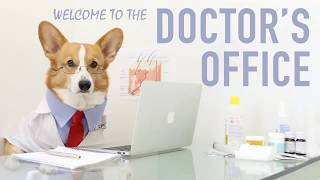 خدمات و عروض عيادة باريس البيطرية Paris Vet Clinic Servics and offer screenshot 4