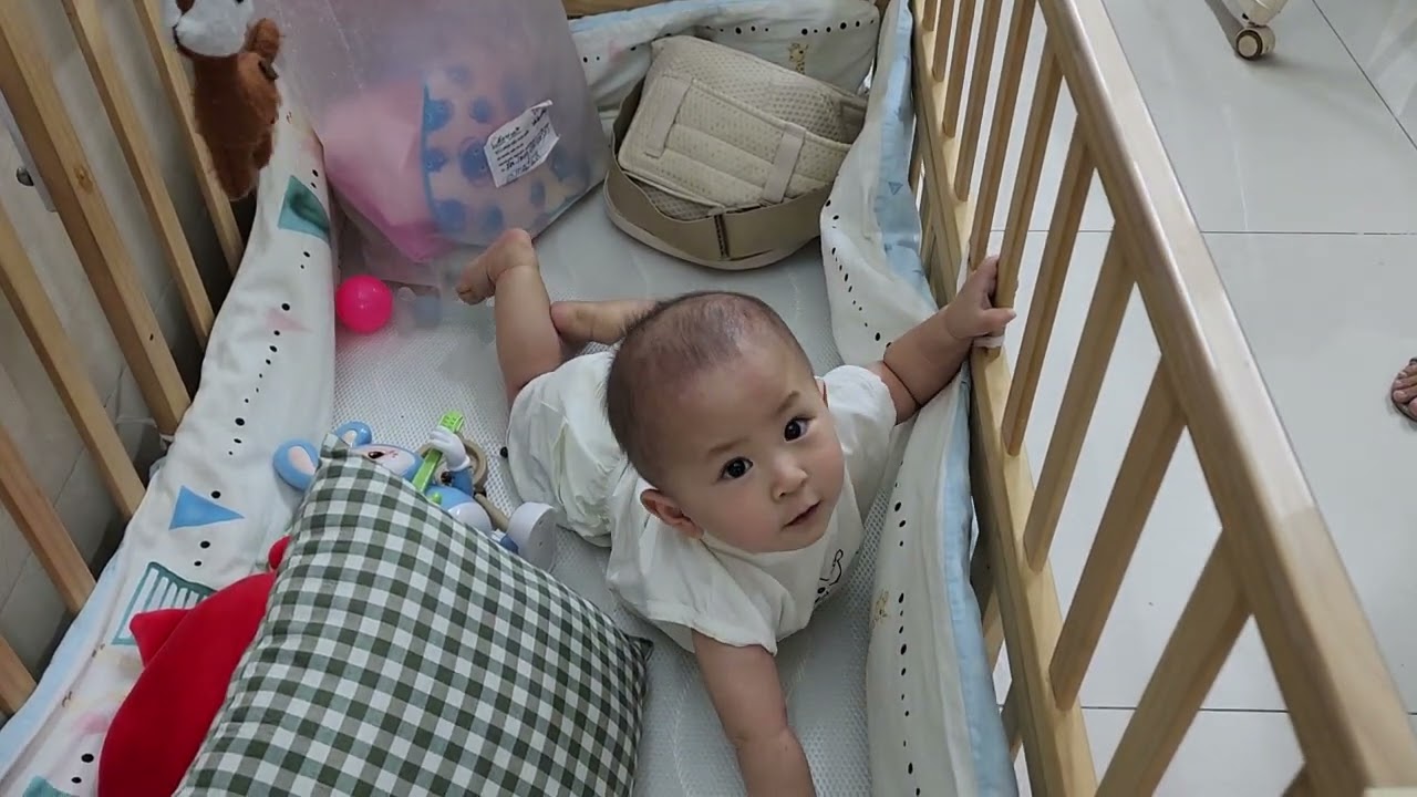 Quay em trốn khỏi cũi mà thương quá