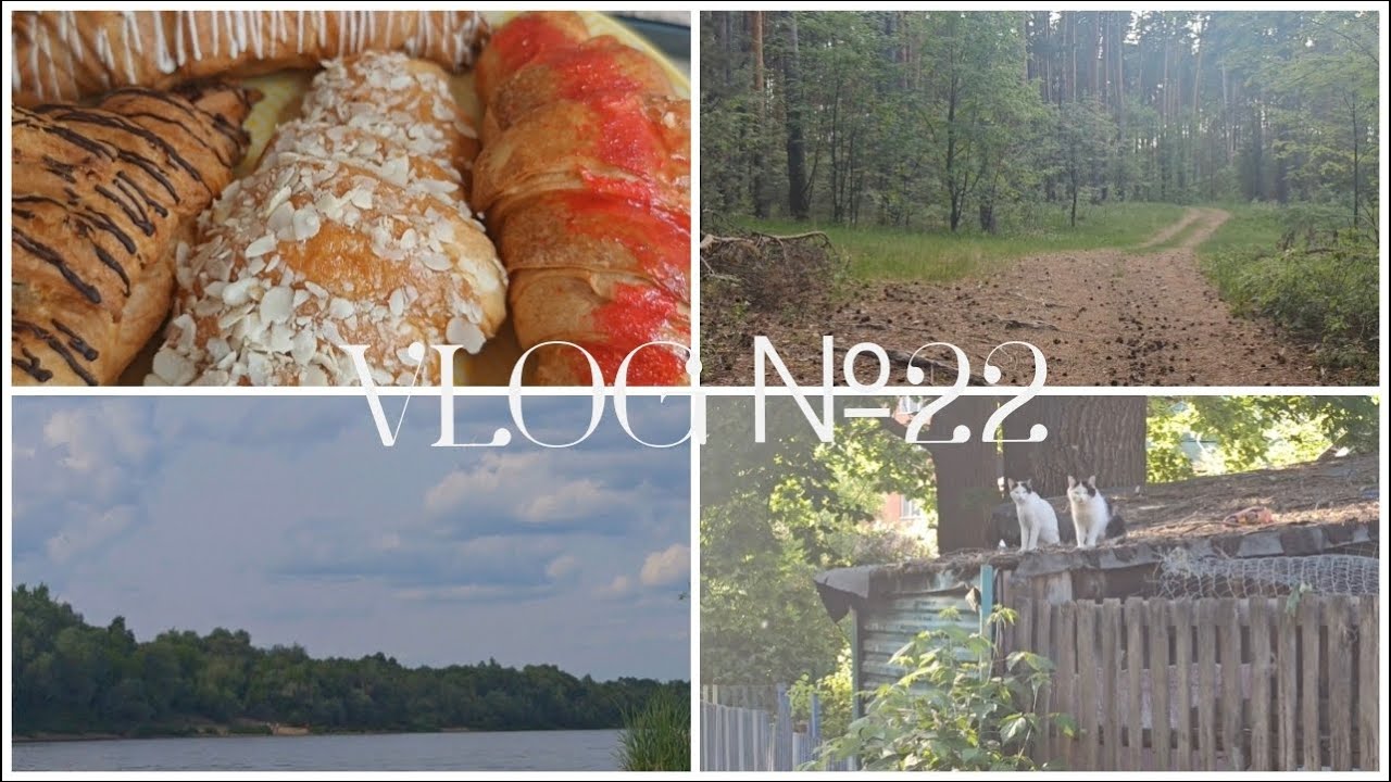 VLOG №22 / В ДЕРЕВНЕ / ЛЕТО / ПРИЯТНЫЕ ВСТРЕЧИ