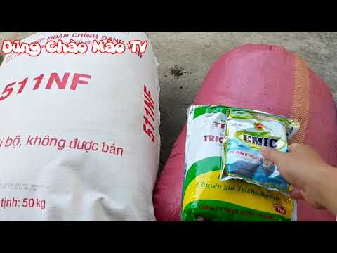Video Mẹo Xử Lý giá thể Trấu Sống Tro Trấu Xơ Dừa Trồng Cây... - youtube