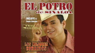 Video thumbnail of "El Potro de Sinaloa - Los Dos Jefes"