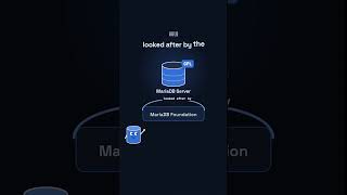 MariaDB vs MySQL: they share a parent, but they aren't the same anymore #Shorts