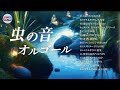 【癒しBGM】虫の音とともに楽しむJ-POPオルゴールメドレー|星空・夜のリラックスタイムにぴったり