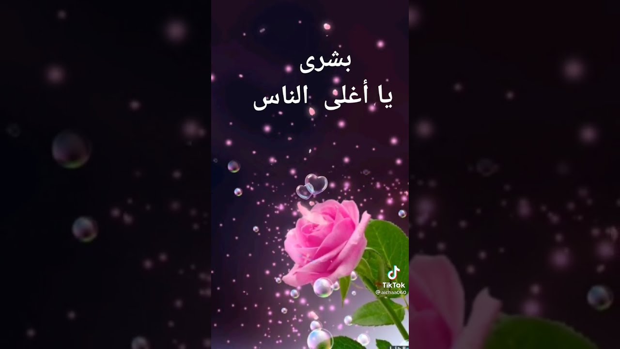 تعالوا الصاله نتكلم عن الحب