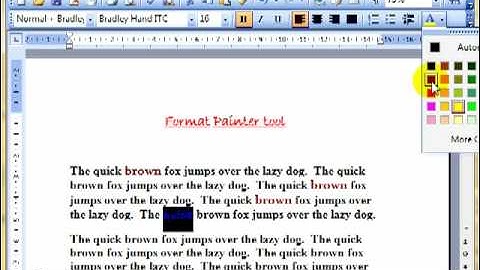 Word 3333 Format Painter tool Microsoft Word 2003 ECDL ITQ2