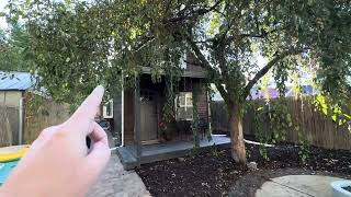 Airbnb Tiny Tree House Rental in Englewood Colorado by Nick Adams 311 views 7 months ago 3 minutes, 22 seconds