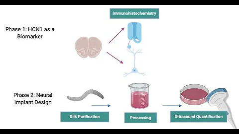 Emilin Mathew's Schizophrenia Research: AJAS 2021