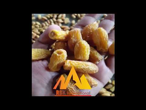 dry-dates-export-&-re-export-|-pakistan-|-uae-|-oman