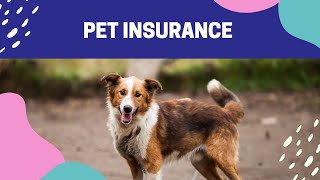 "Unlocking the Power of Pet Insurance: Benefits and Why It's a Lifesaver for Your Furry Friend!"