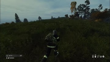 DayZ Skalisty Island Encounter