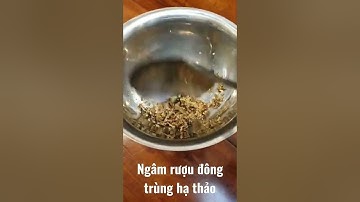 Cách ngâm rượu đông trùng hạ thảo tây tạng là nghiền ra để uống hết, đỡ phí