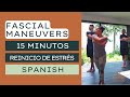 15 minute stress reset espaol spanish edition reduccin de estrs en 15 minutos  human garage