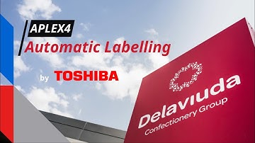 TOSHIBA APLEX4  automatic labelling -  A real customer application (long version