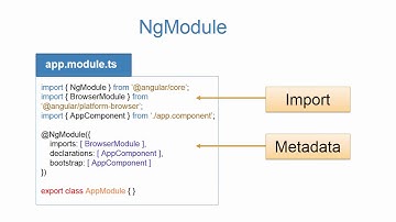 012 NgModules Explained