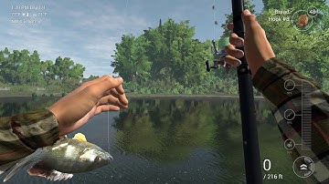 ArcoLinux : 1501 ArcoLinuxB Jwm - Lutris - Steam - 30 minutes Fishing Planet