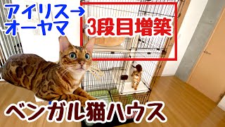 【組立て簡単】ベンガル猫ハウスを3段に増築してみた【アイリスオーヤマ】