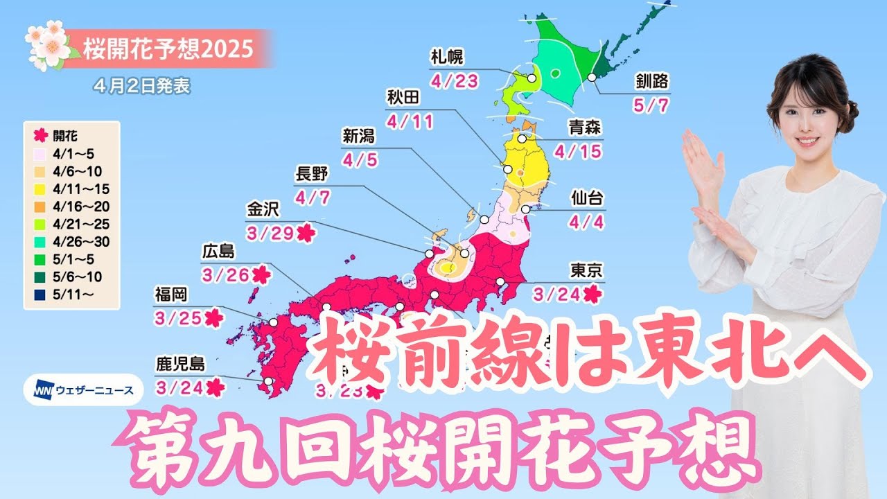 第九回桜開花予想 今週末は関東から西でお花見チャンス - YouTube
