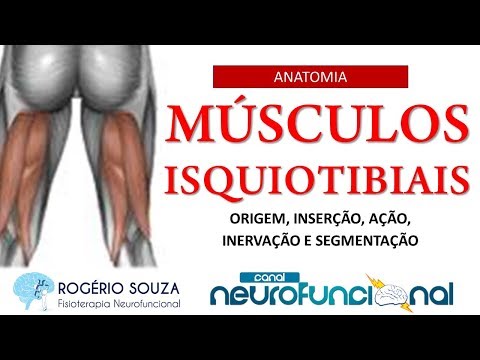 Vídeo: Músculos Isquiotibiais Poderosos: Anatomia, Lesões E Treinamento