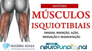 ANATOMIA DOS MÚSCULOS ISQUIOTIBIAIS - Origem, Inserção, Ação e Inervação - Rogério Souza