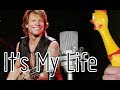 It's My Life (Mr.Chicken cover)