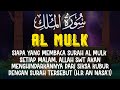 MUROTTAL MALAM - Surah Al Mulk, Amalan Terhindar Siksa Kubur - Mohammad Hejazi