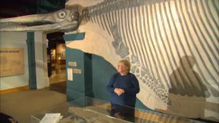 Discover Nevada: Ichthyosaur Park
