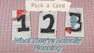 ✨️🩷Their Intentions Towards You Right Now 🩷✨️Pick a Card Love Tarrot Reading