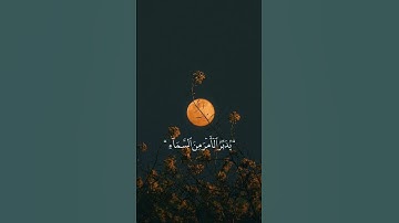 تلاوة هادئة للقارئ عبدالرحمن مسعد🧡🎧 سورة السجدة #القرآن #تلاوة_خاشعة #القرآن_الكريم #عبدالرحمن_مسعد