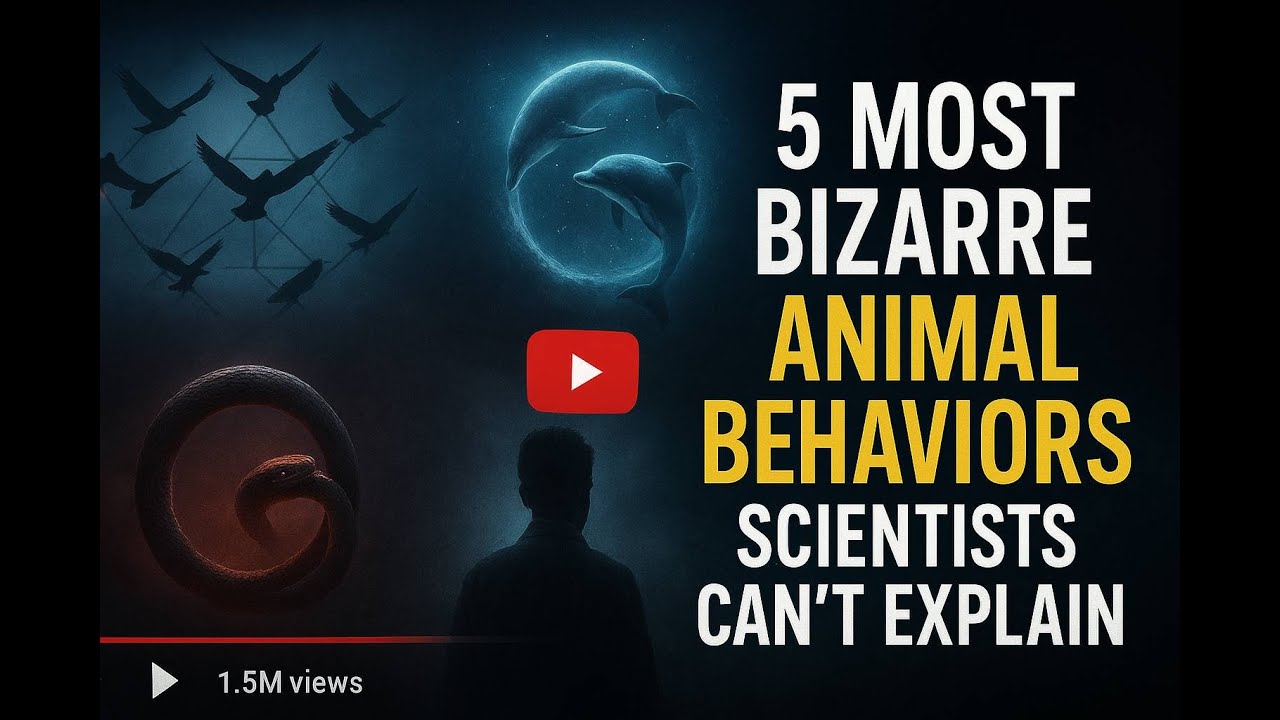 5 MOST BIZARRE Animal Behaviors Scientists Can’t Explain 🐒 