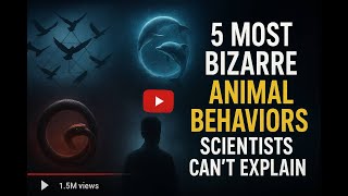 5 MOST BIZARRE Animal Behaviors Scientists Can’t Explain 🐒 #top5