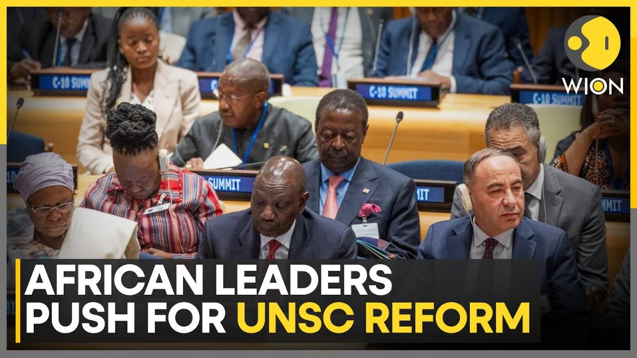 UNGA: African Leaders Demand Greater Representation, Push For UNSC Reform | WION